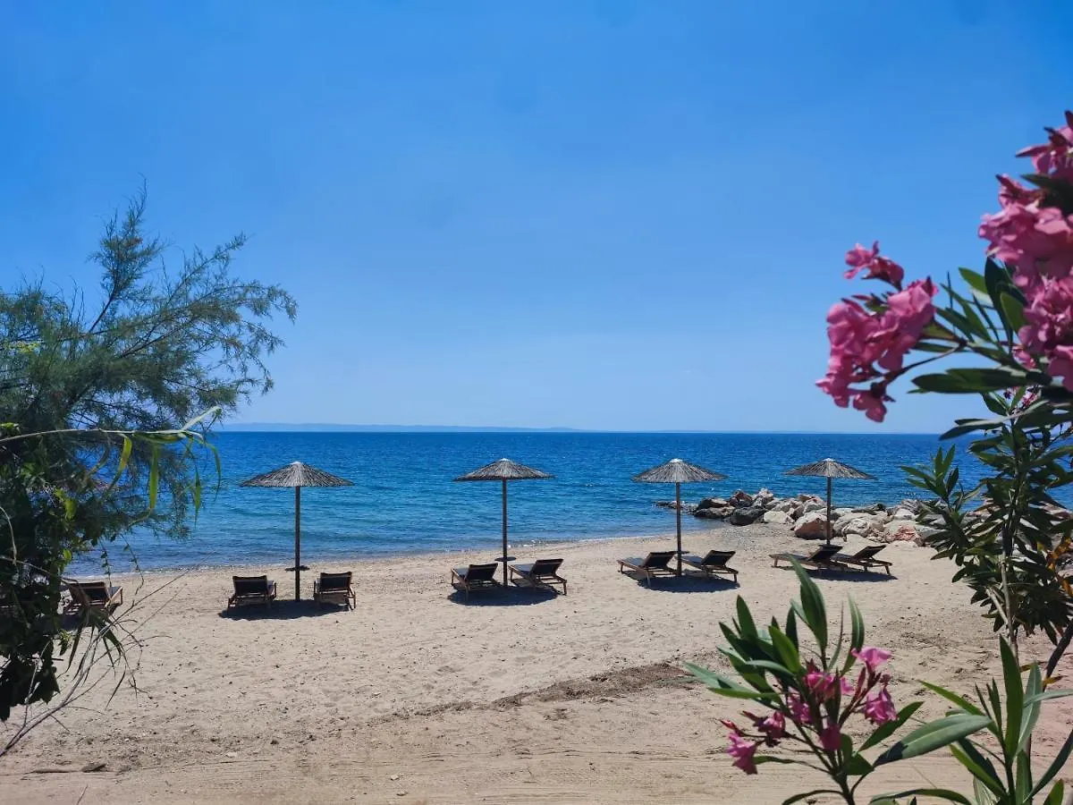 Mina'S House Beachfront Apartments Nikiti   Nikiti (Sithonia)